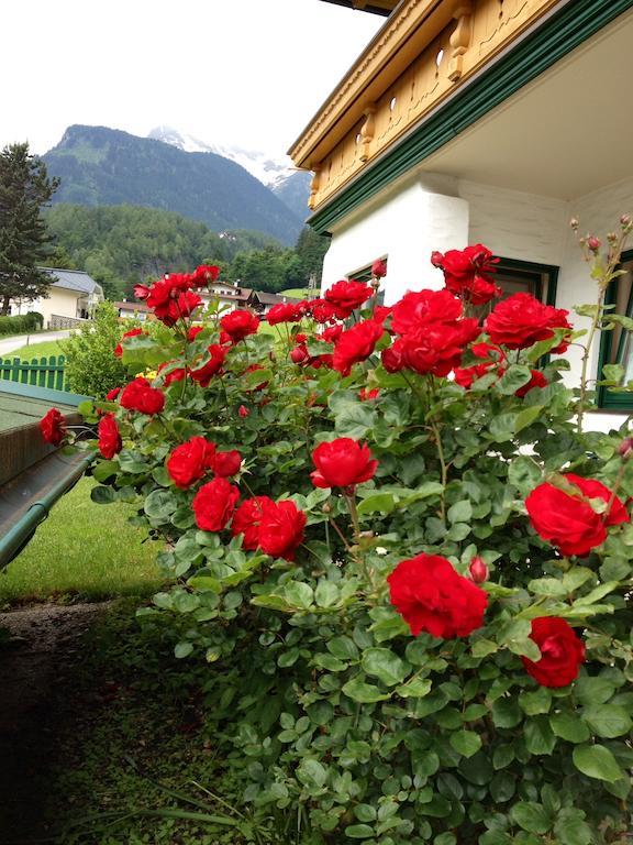Appartementhaus Zillertal By Piaunddirk ฟิงเคนแบร์ก ภายนอก รูปภาพ